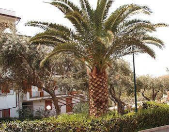 Residence L'Uliveto Gioiosa Marea Εξωτερικό φωτογραφία